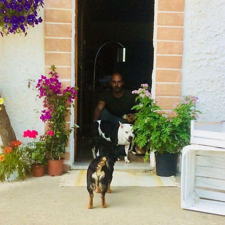 Le Terre D'Abruzzo Guest House Alanno Exterior foto