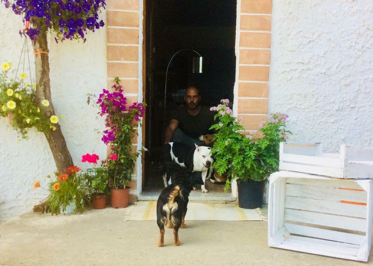 Le Terre D'Abruzzo Guest House Alanno Exterior foto