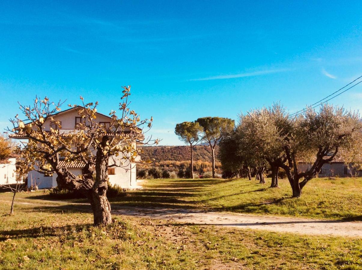 Le Terre D'Abruzzo Guest House Alanno Exterior foto