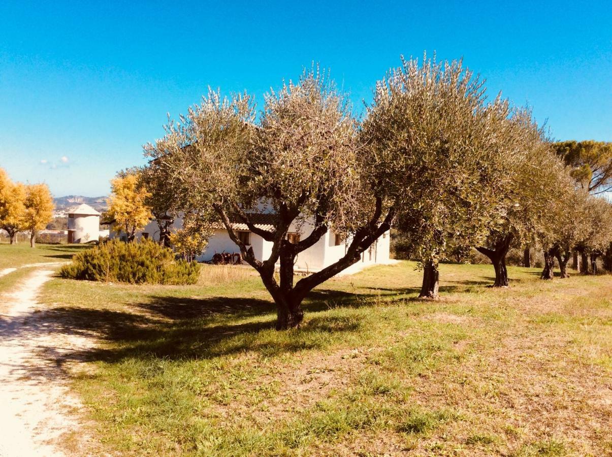 Le Terre D'Abruzzo Guest House Alanno Exterior foto